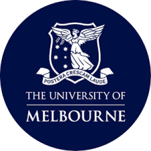 image31 image31