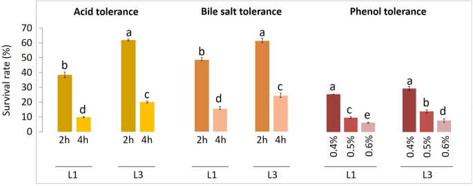 Probiotic efficacy and safety of lactic acid bacteria isolated from Laban, a popular fermented milk product