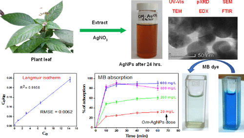 Ophiorrhiza mungos mediated silver nanoparticles as an effective and reusable adsorbent for the removal of methylene blue from water