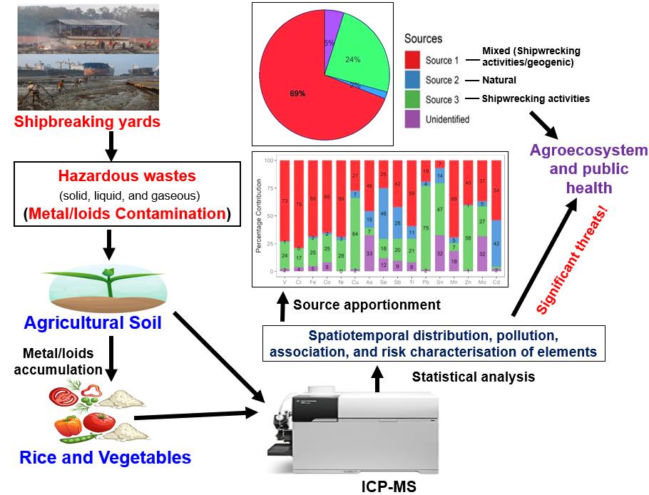 Uncovering the impact of mega-scale shipbreaking yards on soil and crop quality in Bangladesh: A spatiotemporal dynamics and associated health risks of metal/loid contamination.