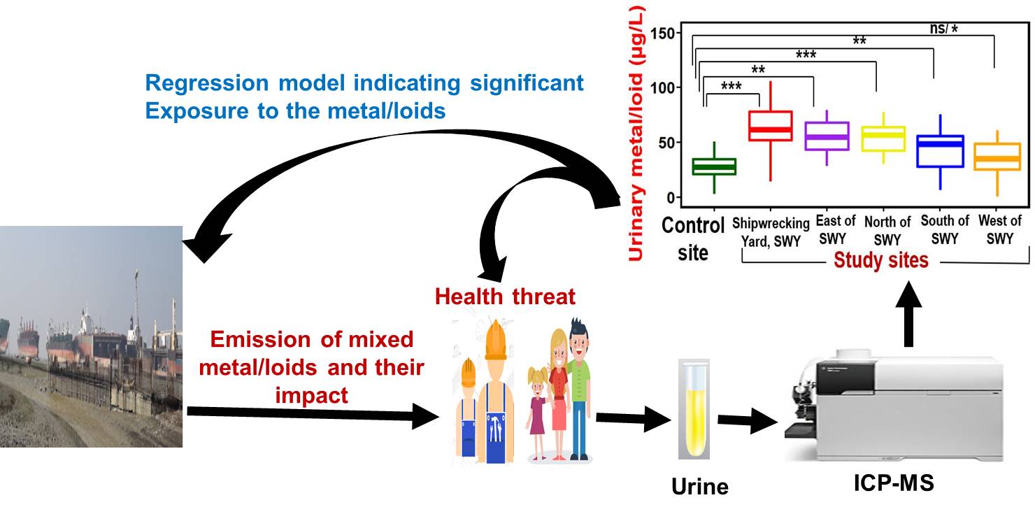 Human exposure assessment of mixed metal/loids at and near mega-scale open beaching shipwrecking activities in Bangladesh